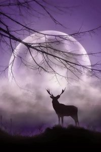Solstice 12 2018